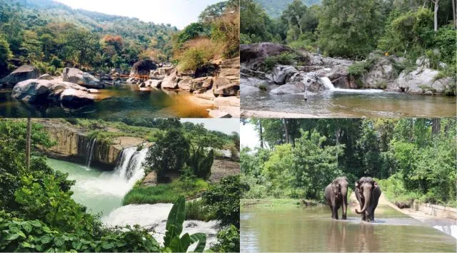 Trekking qua rừng quốc gia Yok Đôn