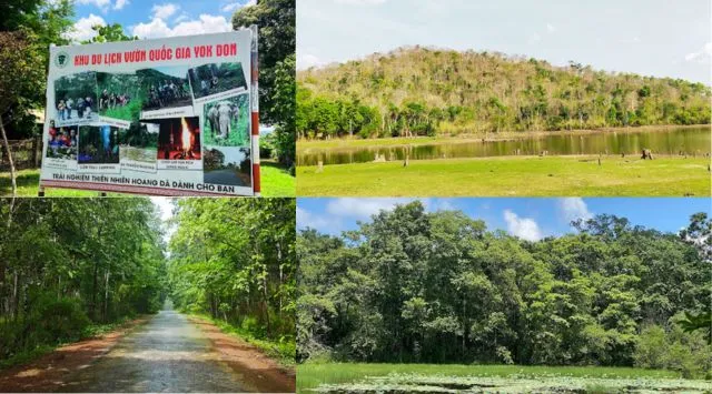 Giới thiệu về Vườn quốc gia Yok Đôn