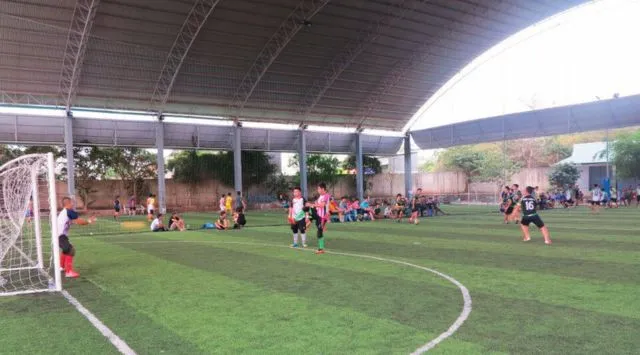 Sân bóng đá cỏ nhân tạo Tân Thái Long