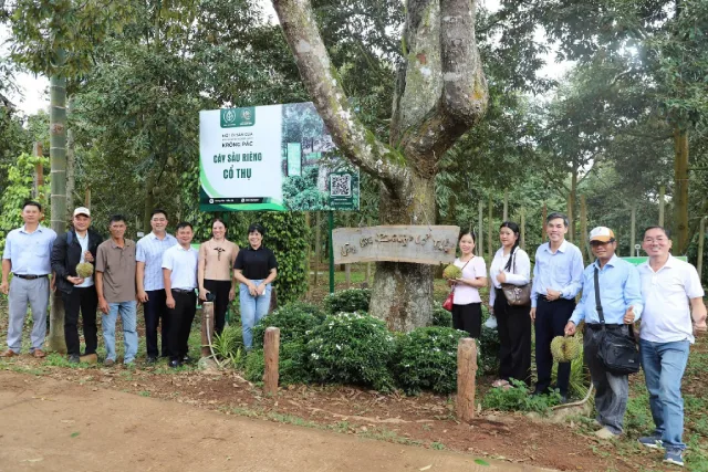 Tour Trải Nghiệm Vườn Sầu Riêng Và Hoạt Động Check-in Nhận Quà